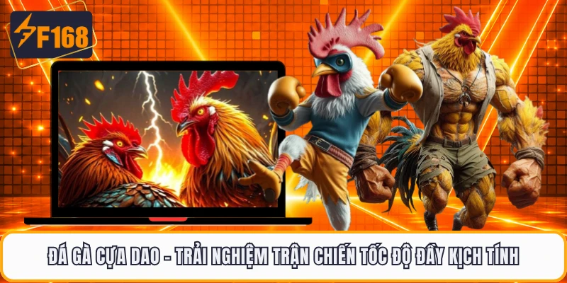Đá Gà Cựa Dao - Trải Nghiệm Trận Chiến Tốc Độ Đầy Kịch Tính